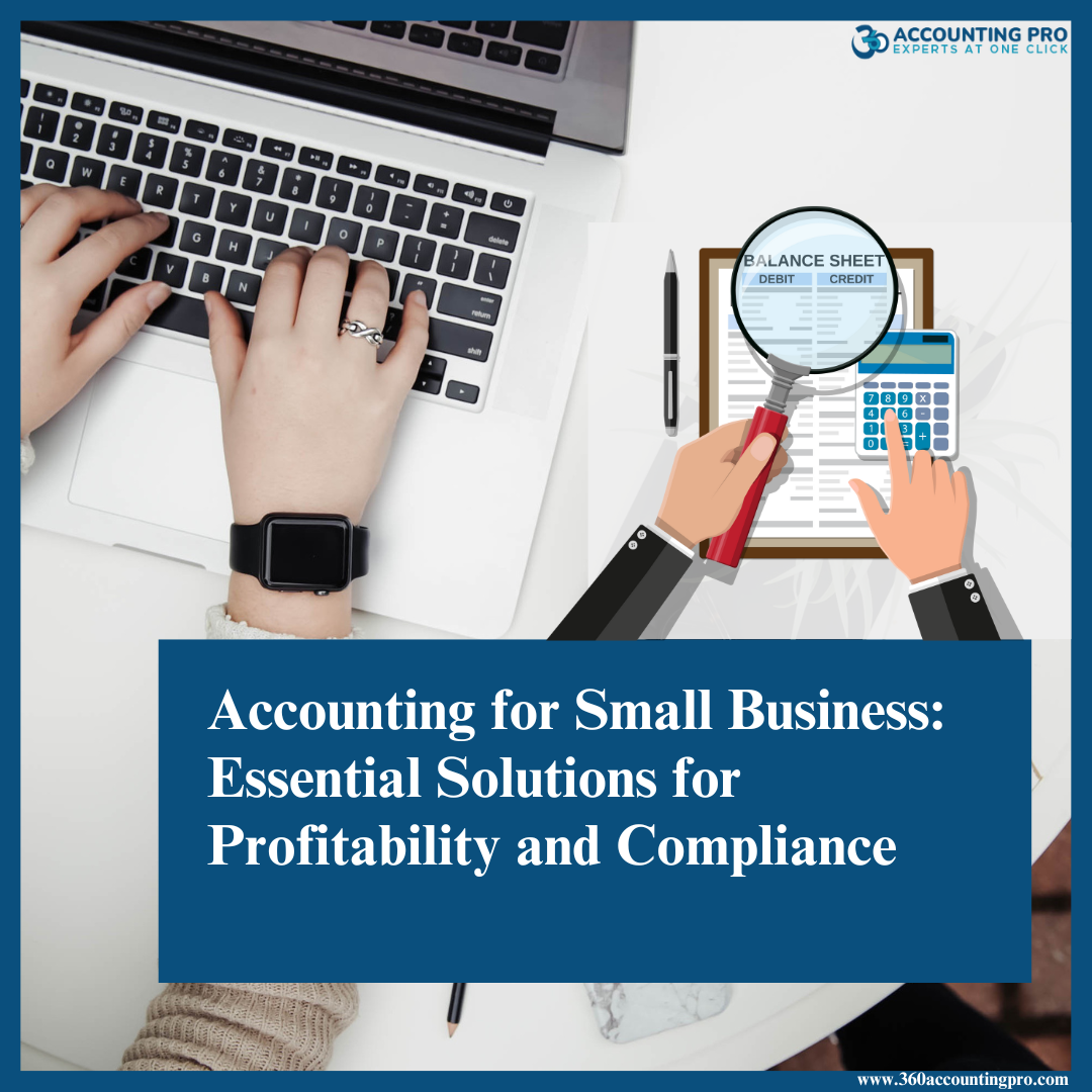 Accounting for Small Business: Essential Solutions for Profitability and Compliance