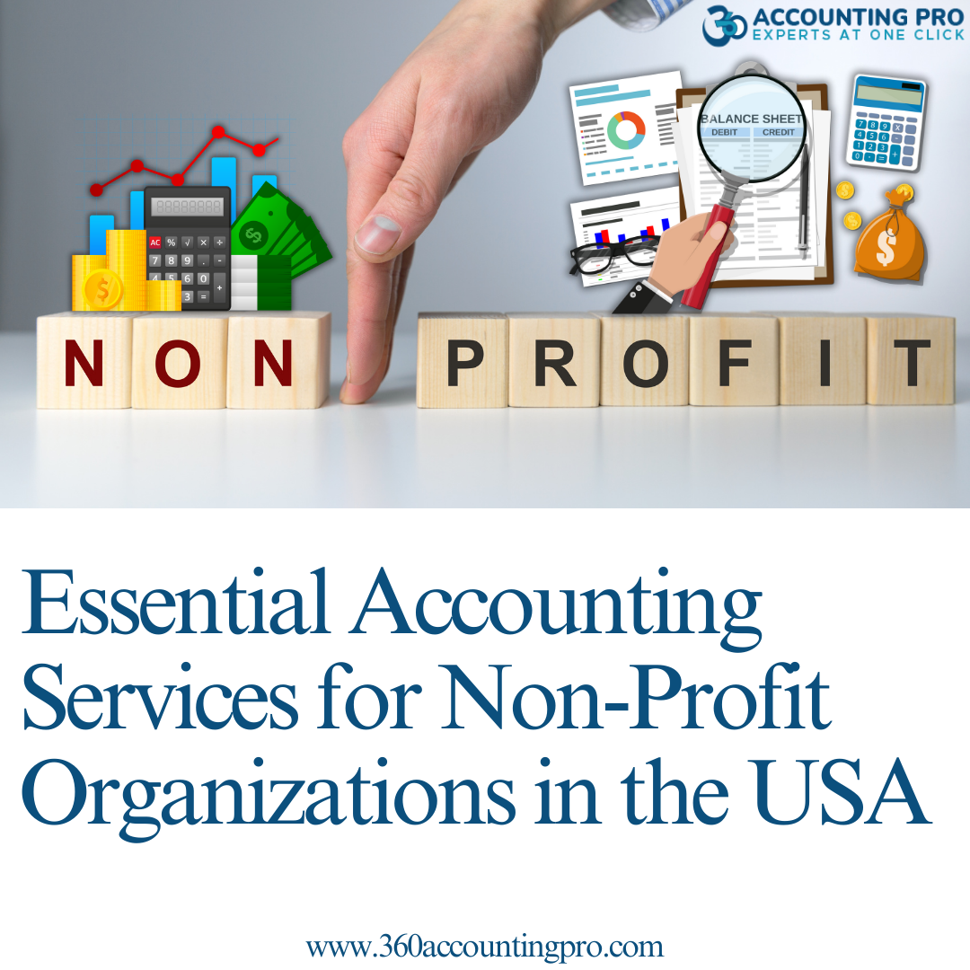 Essential Accounting Services for Non-Profit Organizations in the USA