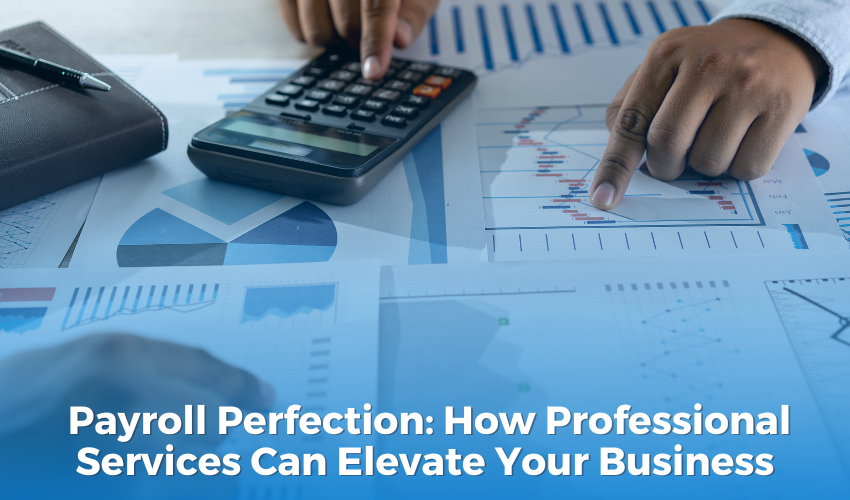  Payroll Perfection: How Professional Services Can Elevate Your Business