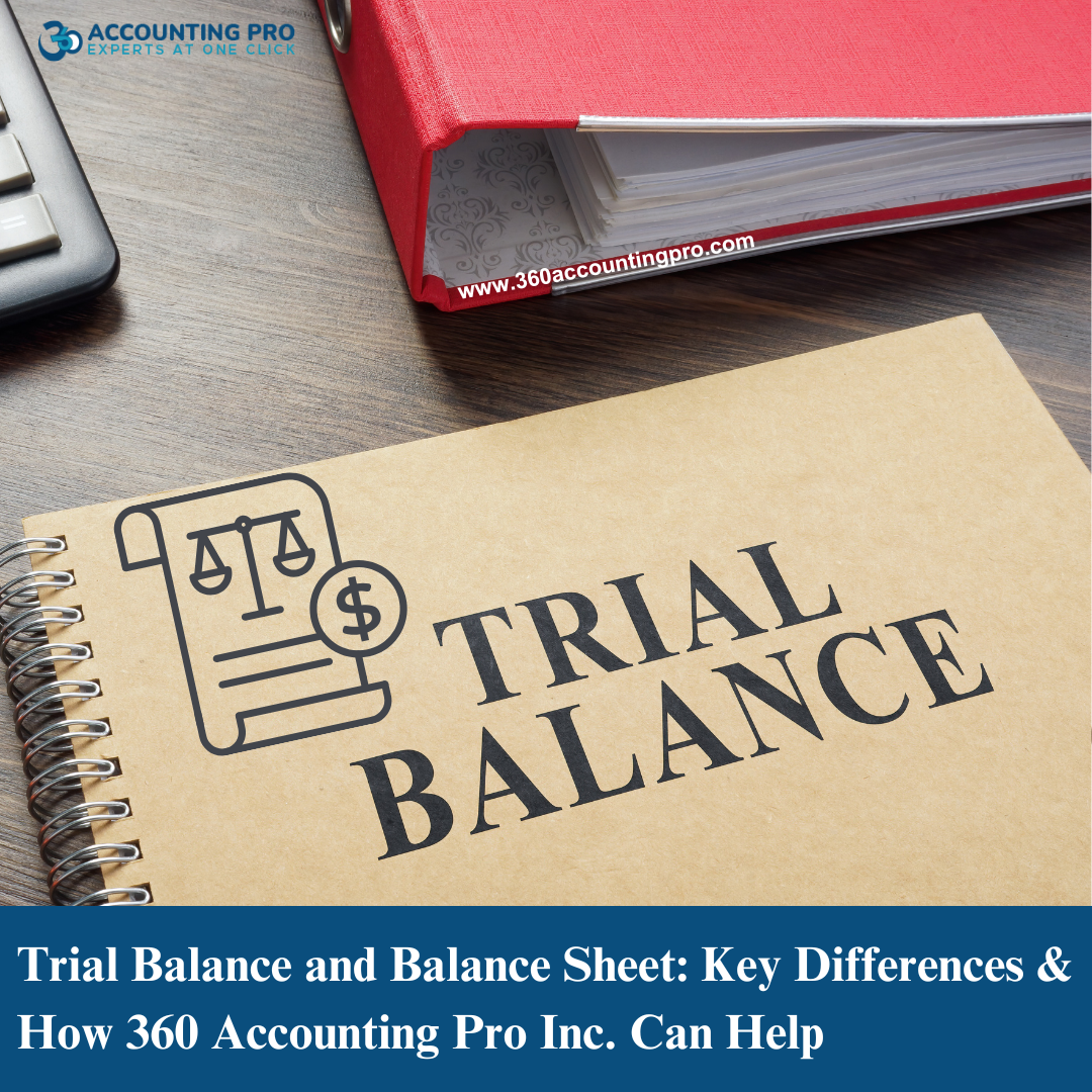 Trial Balance and Balance Sheet: Key Differences & How 360 Accounting Pro Inc. Can Help