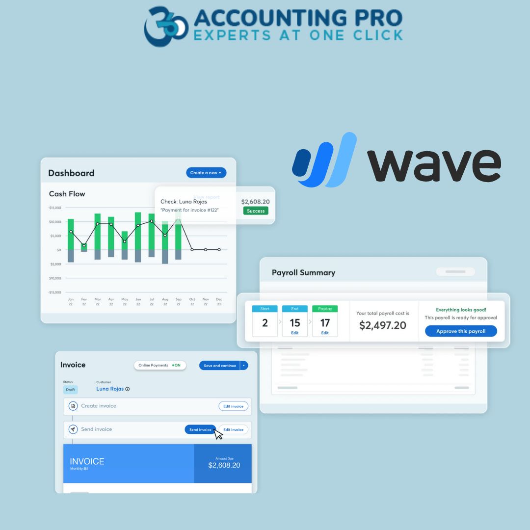Best Wave Accounting Bookkeeper in the USA: 360 Accounting Pro Inc